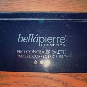 Color correcting palette.